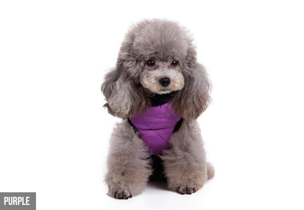 Zip-Up Winter Coat for Dogs - Four Colours & Five Sizes Available