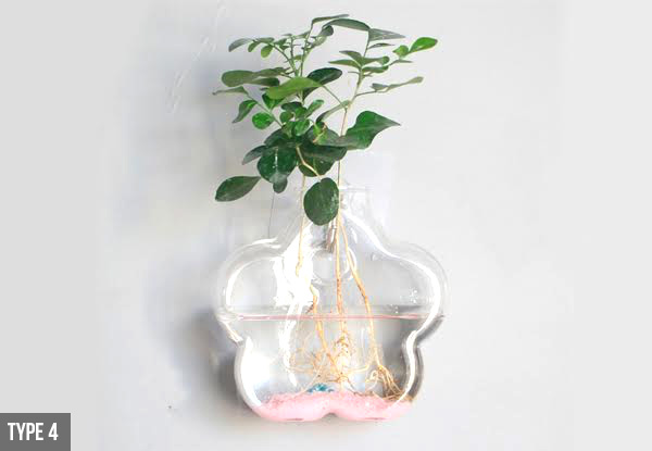 Wall-Hanging Glass Vase - Five Options Available
