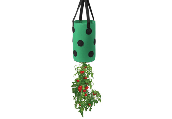 Hanging Garden Planter with 12 Grow Holes