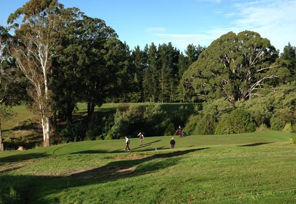 Round of Golf & a House Wine or Beer for One-Person - Options for up to Four-People