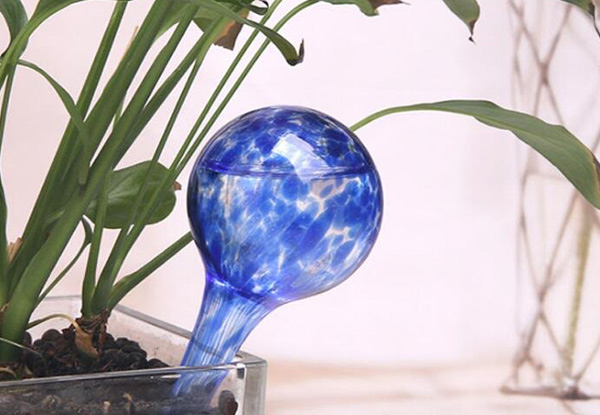 Three-Pack of Glass Automatic Plant Watering Orbs with Free Metro Delivery