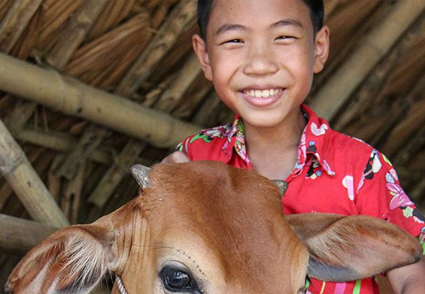 Gift a Cow with World Vision Smiles