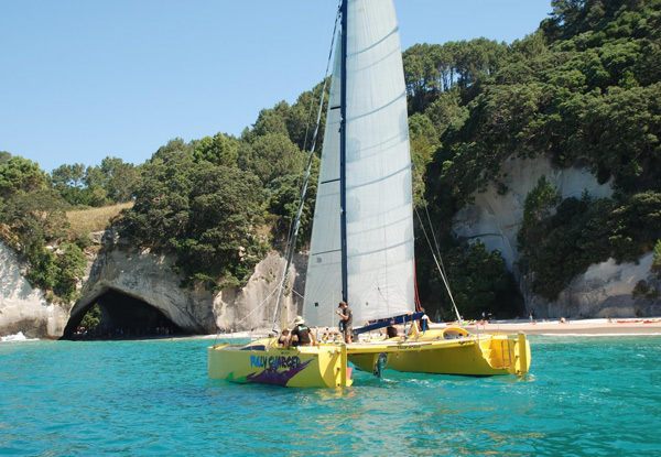 Three-Hour Sailing Experience Exploring Cathedral Cove & Surrounding Areas for One - Options for Two Adult Passes, & Family Pass