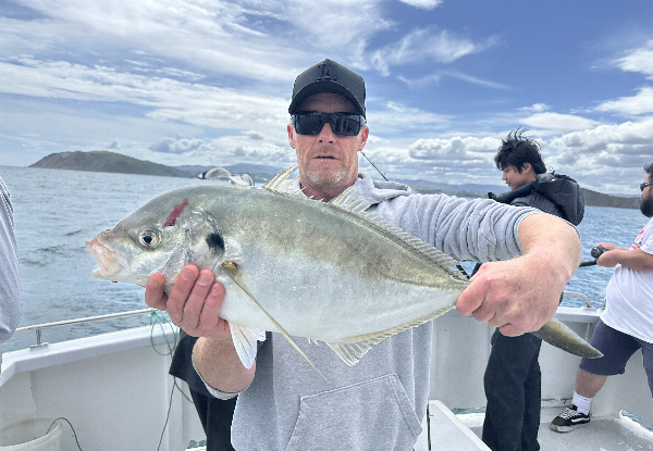 Four-Hour West Coast Fishing Trip incl. Gear Hire, Bait & Food - Options for a Six-Hour West Coast Inshore Fishing Trip in Cook Strait or Surfcasting Trip