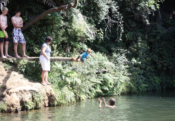 One General Admission to The Waterworks Coromandel - Option for a Family Pass