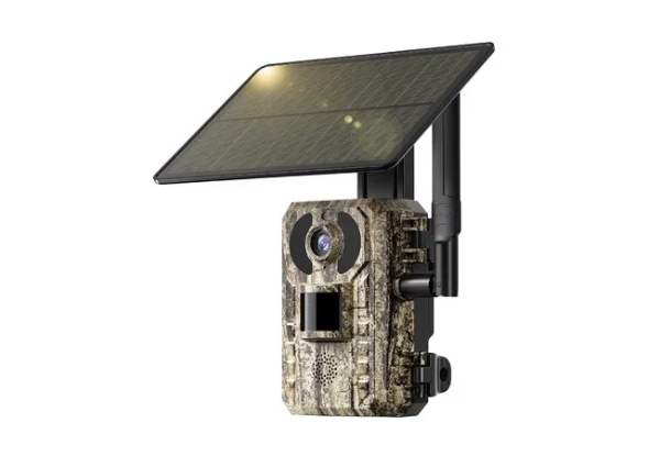 Outdoor Solar 4G LTE Cellular Trail Cameras with 2K Live Video - Option for Two