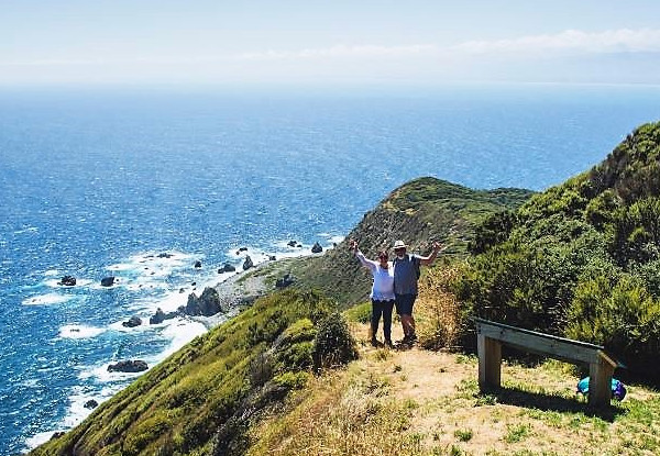 One-Night Kiwi Spotting Tour & Stay for Two People on Kapiti Island incl. Ferry Transport, Introductory Talk, DOC Permits, Dinner, Breakfast & Lunch - Option for Two-Night Stay