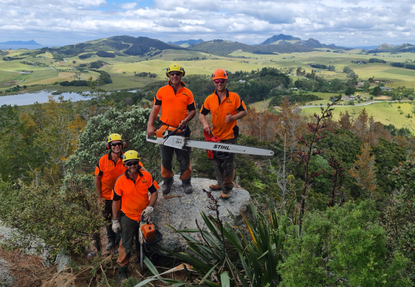 Two-Man Crew of Professional Tree Work Services incl. Tree Pruning, Thinning, Felling & Hedge Trimming - Options for Two & Three Hours