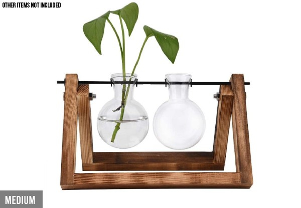 Glass & Wood Terrarium - Three Sizes Available