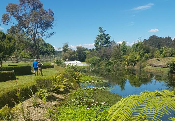 Adult,Child or Family Wairakei Terraces Walkway Entry