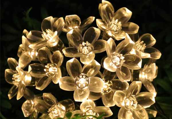 Solar Powered 50-LED Peach Flower Fairy String Lights - Five Colours Available