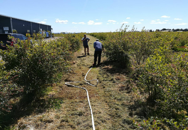 Two Hours of Chemical-Free Property Cleaning & Weed Control - Options for Four-Hours