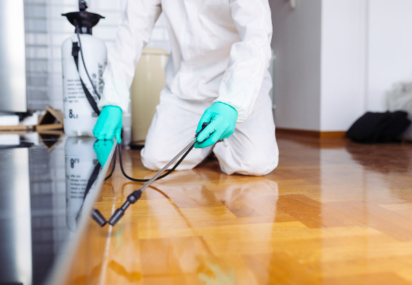 Interior & Exterior Pest Control Service for a Three-Bedroom House