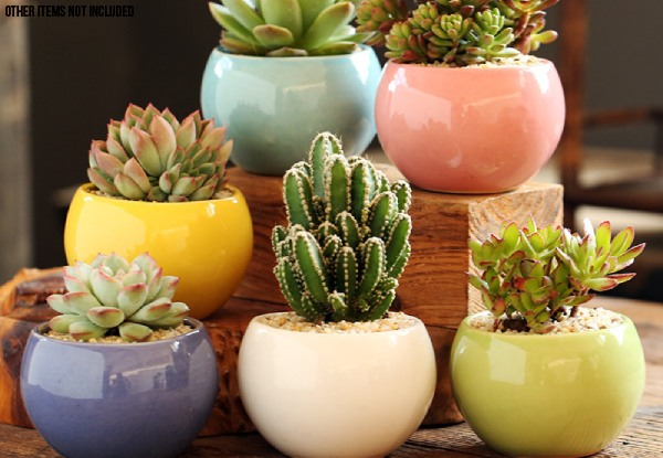 Six-Piece Ceramic Succulent Cactus Planter Pots