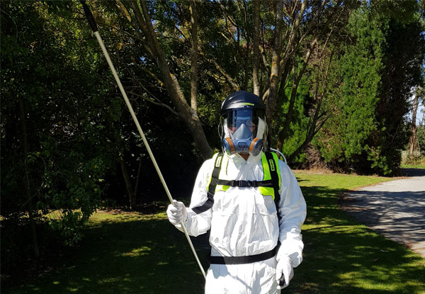 Certified Exterior Spider Proofing for a Two-Bedroom House incl. $20 Window Cleaning Voucher - Options for up to Five-Bedroom Exterior House Available