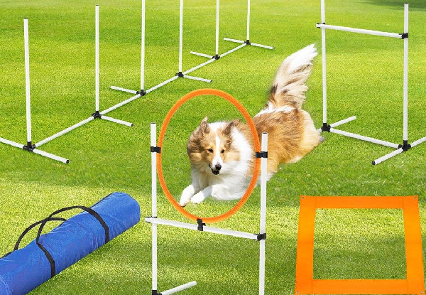 Five-Piece Dog Obstacle Equipment Set