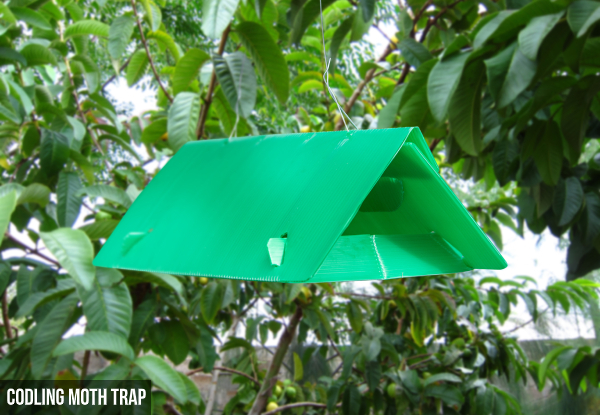 Moth Pest Control Trap Range - Four Options Available