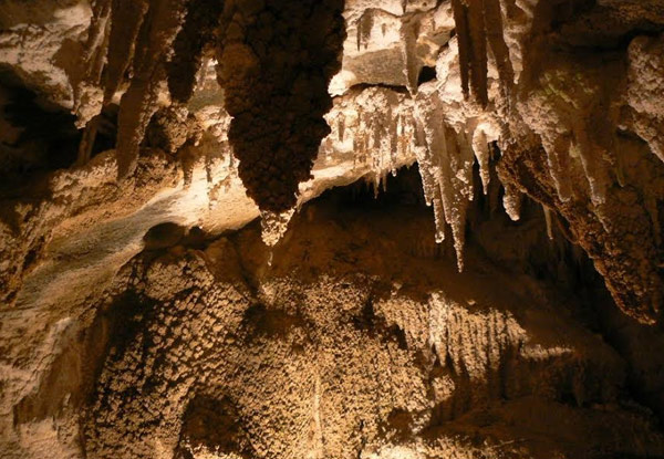 Family Guided Tour of Ngarua Caves featuring Skeletal Remains of Extinct Moa