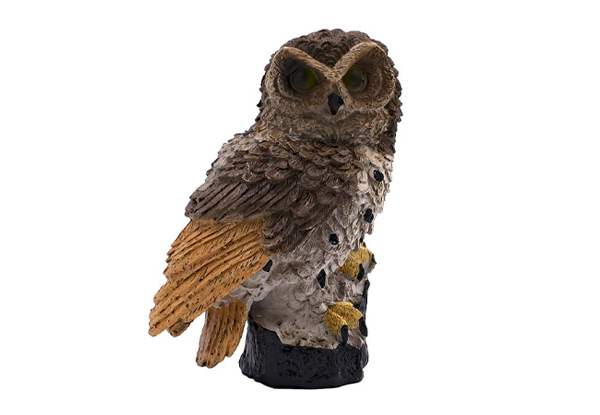Brown LED Owl Outdoor Light