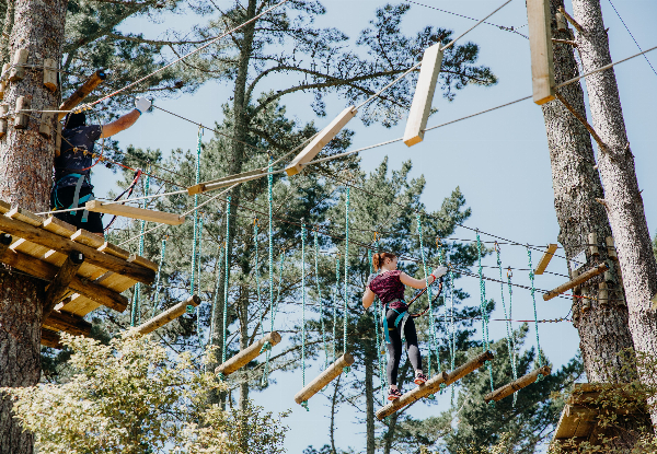 One Adult or Child Admission to Adrenalin Forest Park Porirua, Wellington - Valid Thursday to Sunday