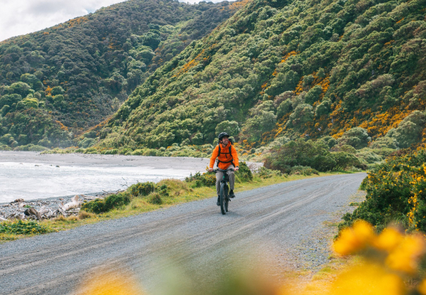 Four-Hour Mountain Bike Hire at Wildfinder Pencarrow