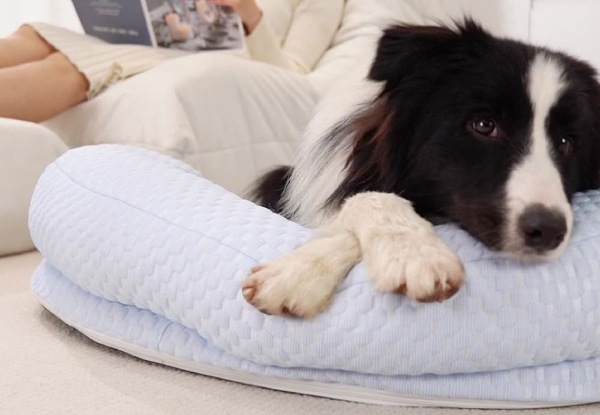 Pet Memory Foam Cooling Mat - Available in Three Colours & Four Sizes