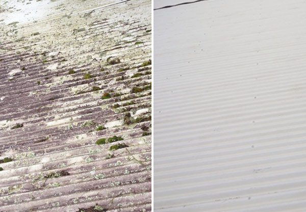 $99 for a Moss & Mould Roof Treatment (value up to $330)