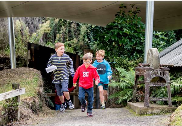 Adult Entry to The Buried Village of Te Wairoa incl. Award-Winning Museum Pataka, Archaeological Sites & Te Wairoa Falls & Trail - Options for Teens & Family Entry