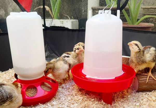 1L Chick Feeder & 1.5L Chicken Waterer Kit