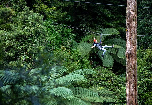 Three-Hour Original Rotorua Canopy Tour & GoPro Footage Combo for an Adult - Options for a Child Available