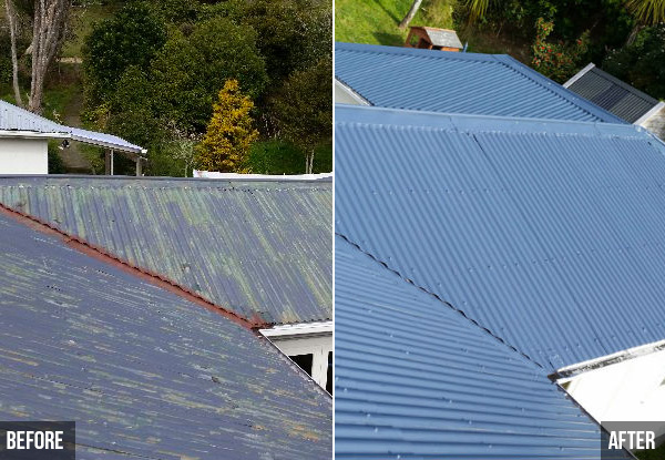 Roof Painting incl. Moss & Mould Treatment, Washing, Two Coat Priming & Top Coating System - Options up to 180m²