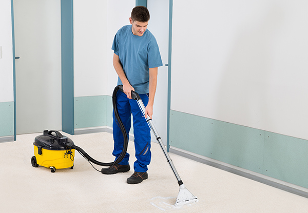 Professional Carpet Cleaning for Three Rooms - Options for up to Six Rooms - Wellington & Kāpiti Locations Available