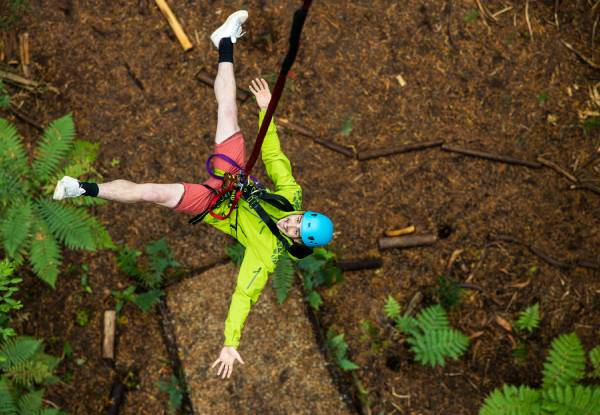 Guided Redwoods Altitude Experience for Adult or Child incl. Ziplining & 25-Metre High Guide