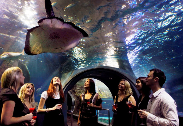 Elemental AKL Dining in the Deep Underwater Culinary Experience Entry Ticket for One Person incl. Entrance to the SEA LIFE Kelly Tarlton's Aquarium, One Glass of Prosecco on Arrival & Food Throughout the Evening - Option for Two People