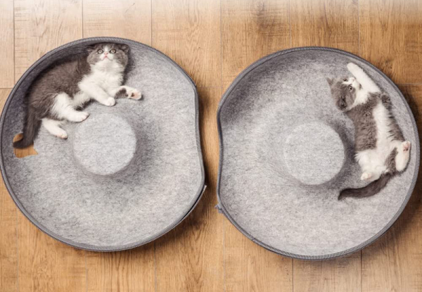 Cat Tunnel Bed - Two Colours Available
