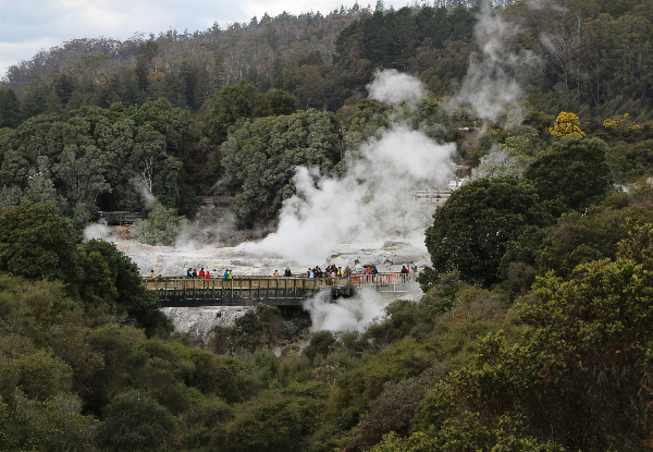 Rotorua Escape Day Trip for One Adult - Options for Child or Family Pass - Thursday to Sunday from Auckland. Luxury return transport in small groups