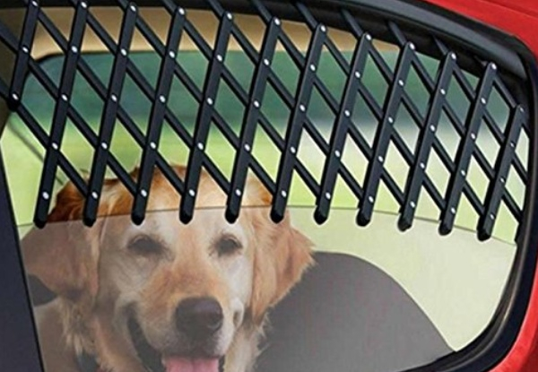 Pet Travel Window Safety Fence