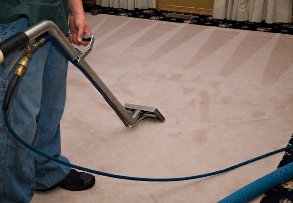 Carpet Clean for a One-Bedroom House - Options for up to Four Bedrooms