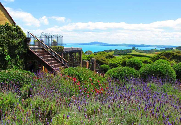 Premium Full-Day Waiheke Island Tour incl. Four Tastings at Four Vineyards for One Person - Option for up to 10 People