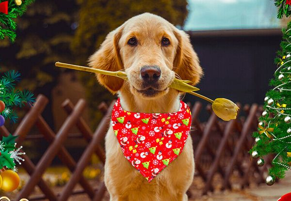 Two-Pack Pet Christmas Bandana - Five Styles Available