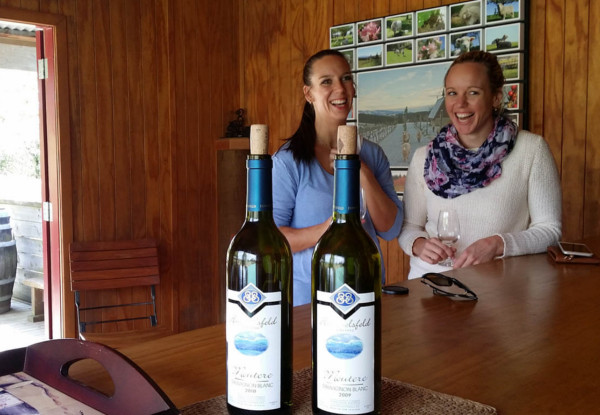 Four to Five Hour Tasman Tours Wine Tour with Wine Tasters