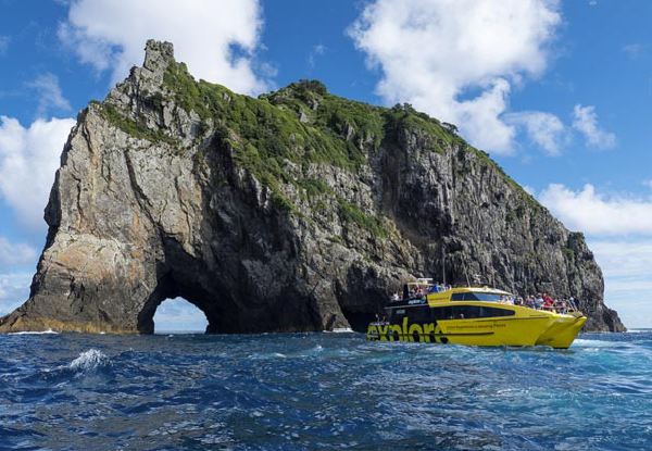 Discover the Bay - Hole in the Rock Cruise incl. BBQ Lunch & Island Stop-Over for One Adult - Options for Child, Two Adults or Family Pass