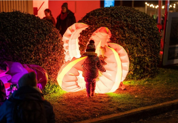 30% Off Entry to the Illumination Night Walk at the New Zealand Festival of Christmas in Greytown - Options for Family Pass with Treats, or Two Adults with $50 White Swan Voucher