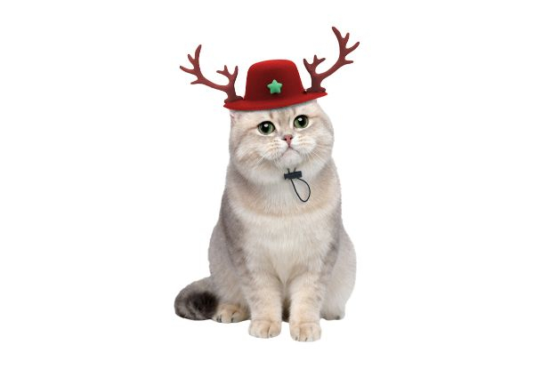 Pet Christmas Reindeer Antlers Hat - Available in Two Colours & Option for Two-Pack