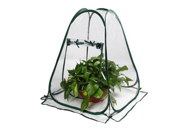 Pop-Up Greenhouse Plant Cover - Option for Two-Pack