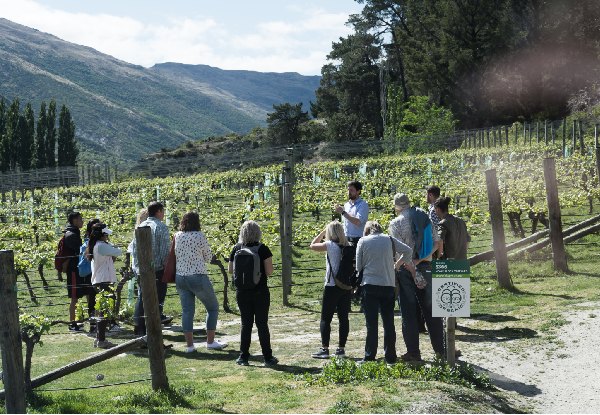 Queenstown Valley of the Vines Lunch or Afternoon Wine Tour for One Person