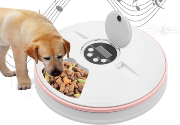 Clock Style Automatic Pet Feeder with Six Meal Trays and LCD Display- Three Colours Available