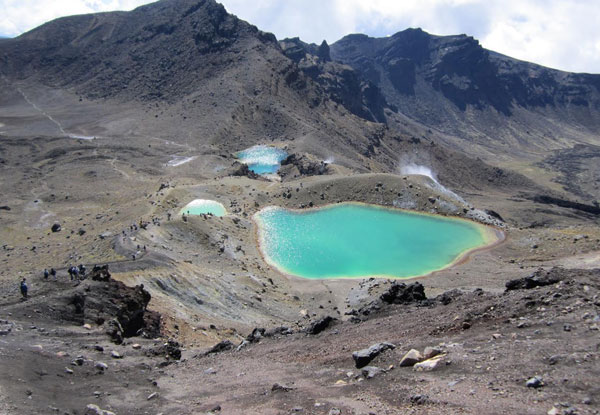 Tongariro Alpine Crossing Return Shuttle for One Person - Options for up to Five People