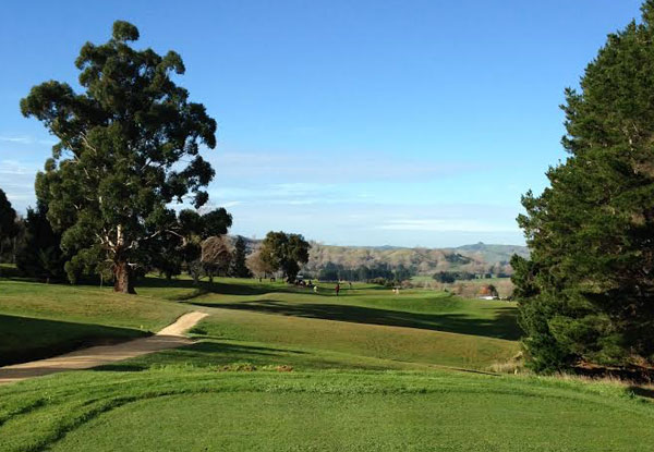 Round of Golf & a House Wine or Beer for One Person - Options for up to Four People