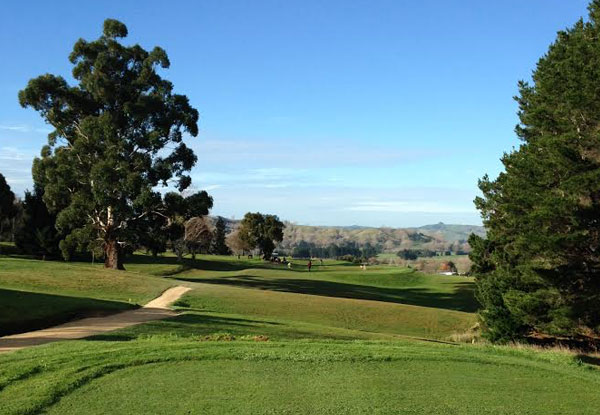 Round of Golf & a House Wine or Beer for One-Person - Options for up to Four-People